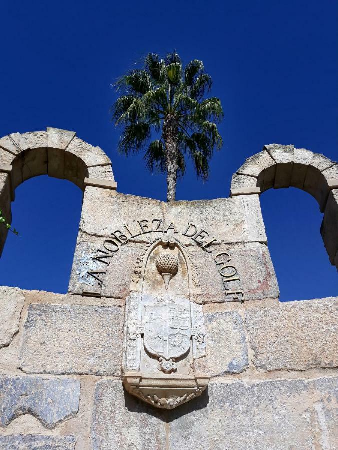 Fabulous Detached Large Villa 5 Bedrooms 3 Bathrooms Backing Onto Villamartin Golf Course 외부 사진
